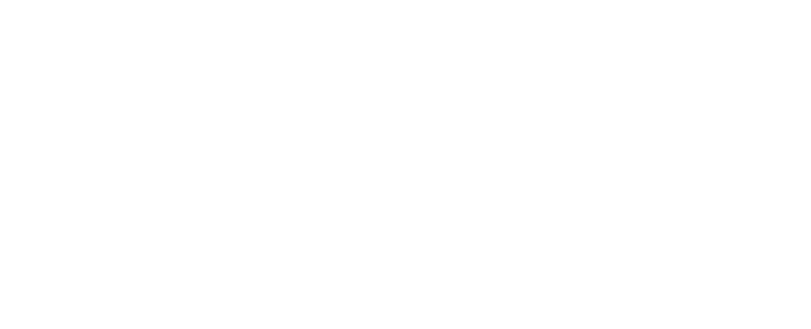 Horse Care