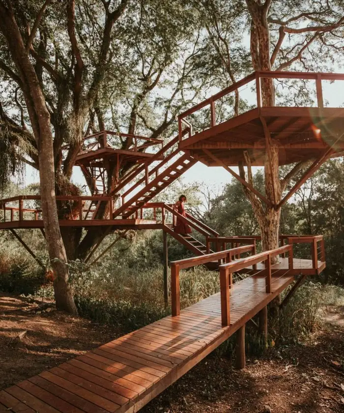 Casa na árvore da Fazenda Bosque Belo Baguá, com passarela de madeira entre as copas