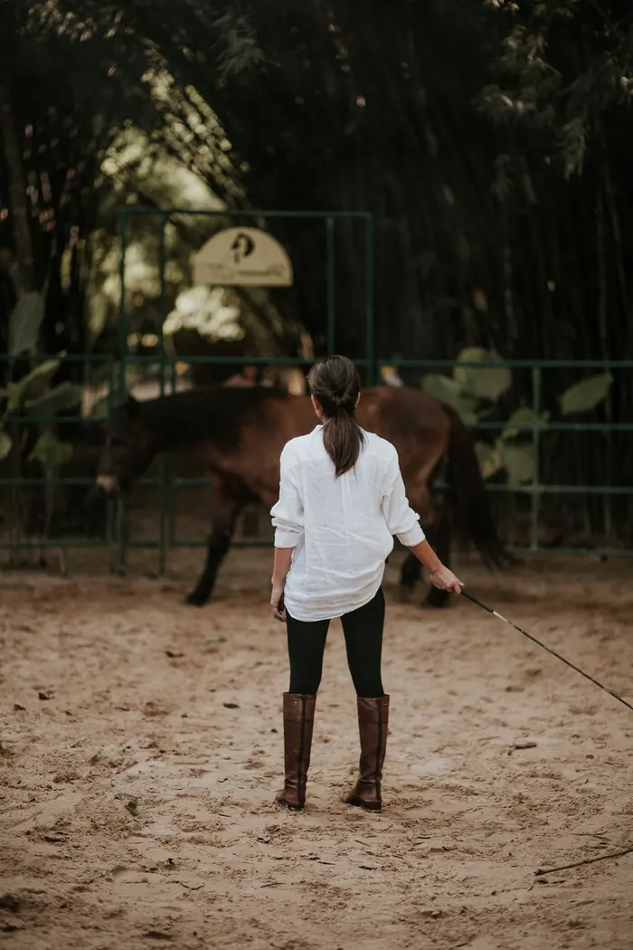Vivência com cavalos no Redondel: a Dra. Vanessa de costas, de corpo inteiro, conduz um cavalo alazão na areia